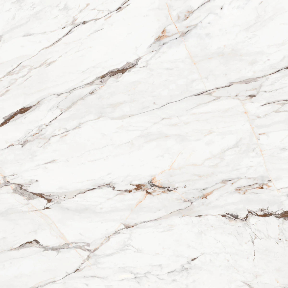 BRECCIA CAPRAIA