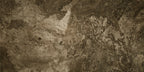 FOSSIL BROWN