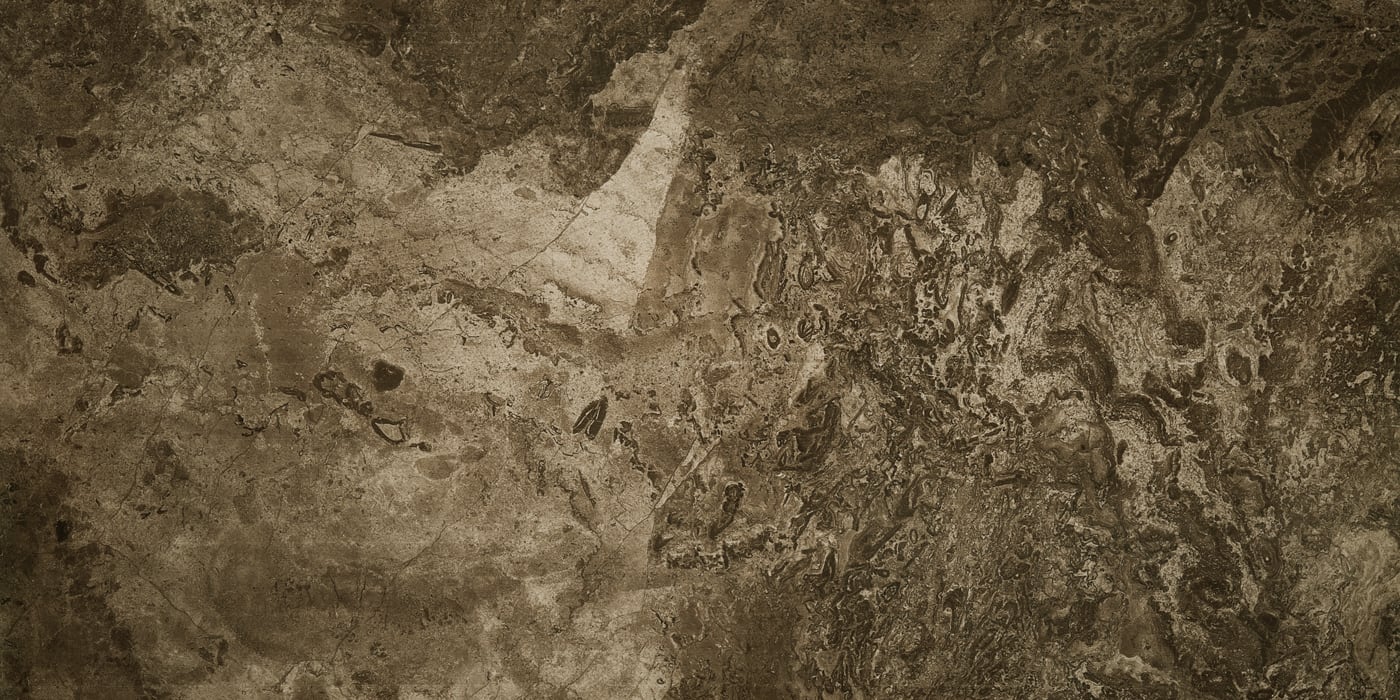 FOSSIL BROWN