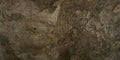 FOSSIL BROWN