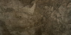 FOSSIL BROWN