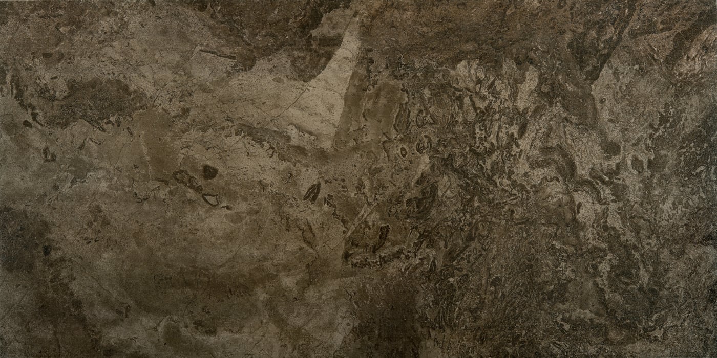 FOSSIL BROWN