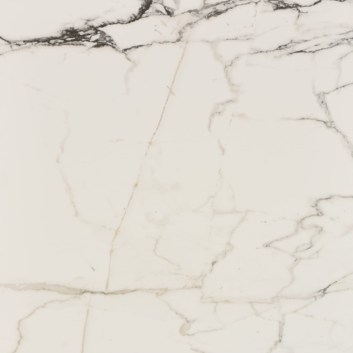 HAVANA WHITE
