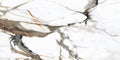HIMALAYA BROWN
