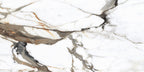 HIMALAYA BROWN