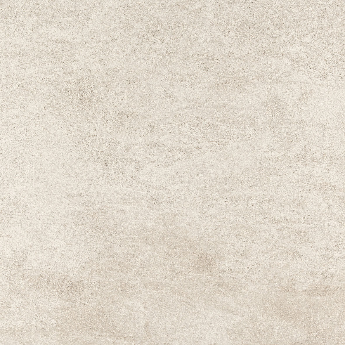 LEONARDO BONE
