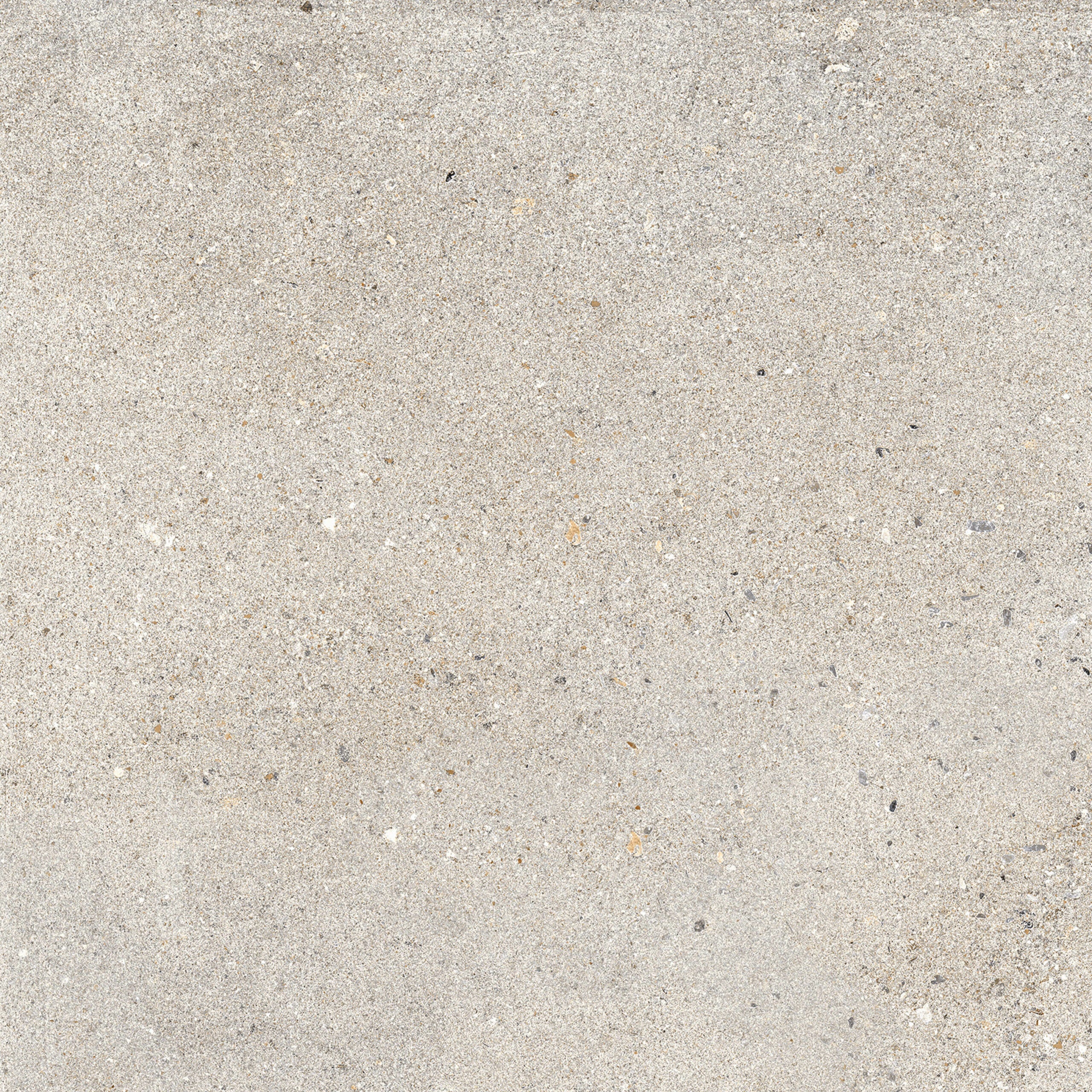 OCTAVIA GREY
