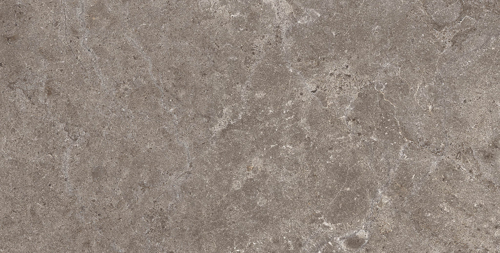 PALEO TAUPE
