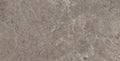 PALEO TAUPE
