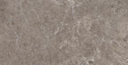 PALEO TAUPE