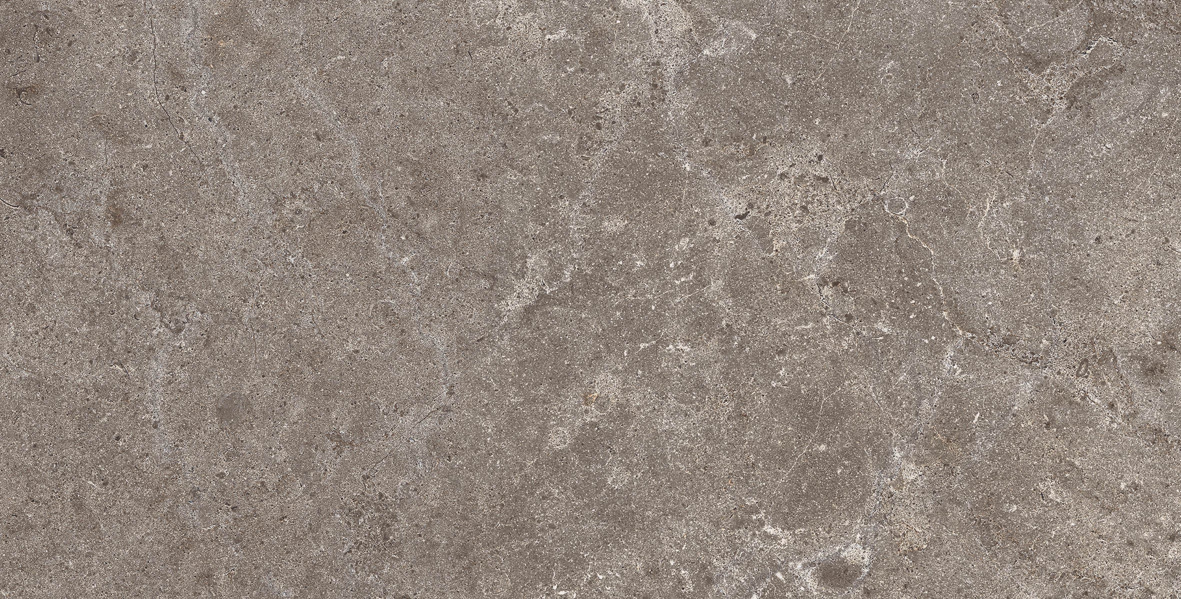 PALEO TAUPE