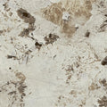 PATAGONYA