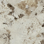 PATAGONYA