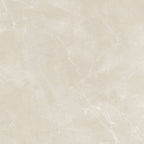 PULPIS PRIME