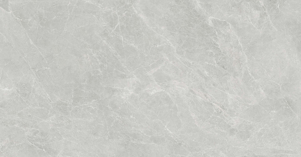 SWAN GREY