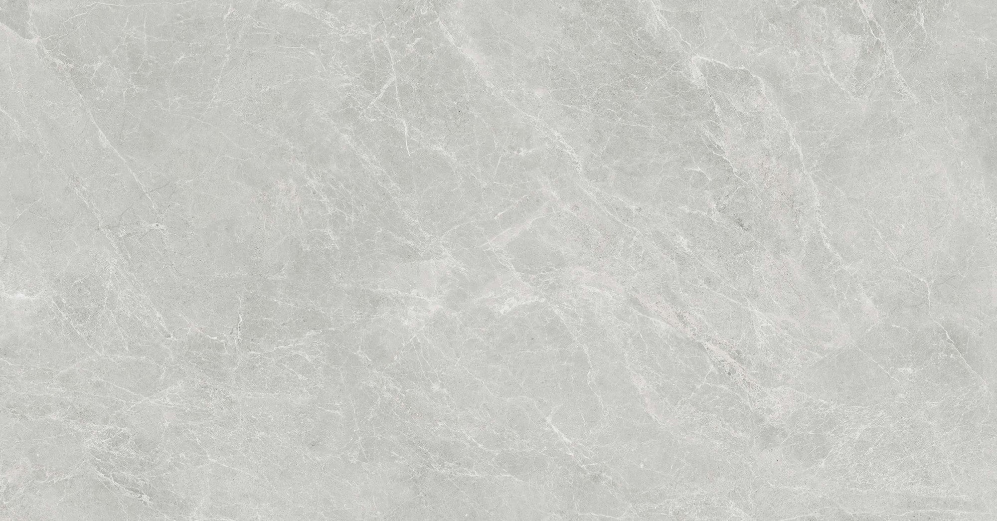 SWAN GREY