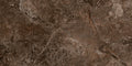 PATARA BROWN