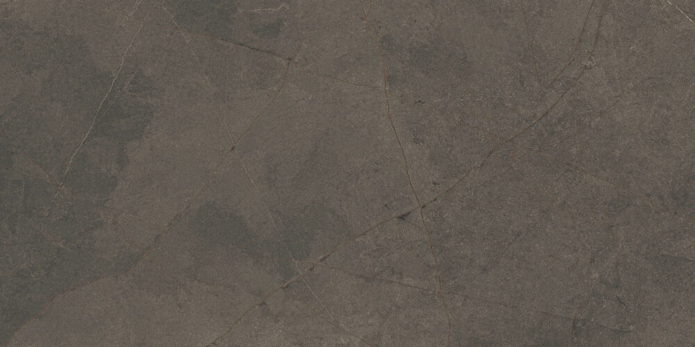 ADRIA – Image 6