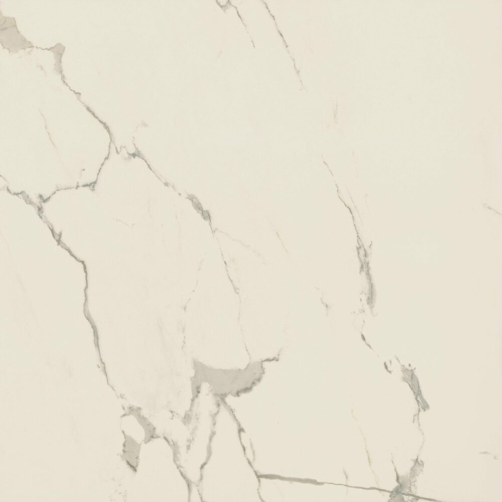 ALBATROS – Image 3