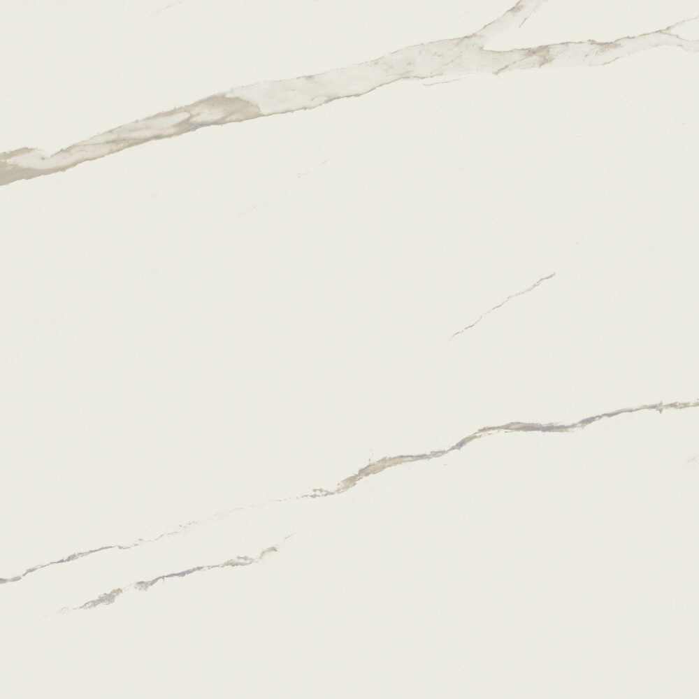 ALBATROS – Image 5