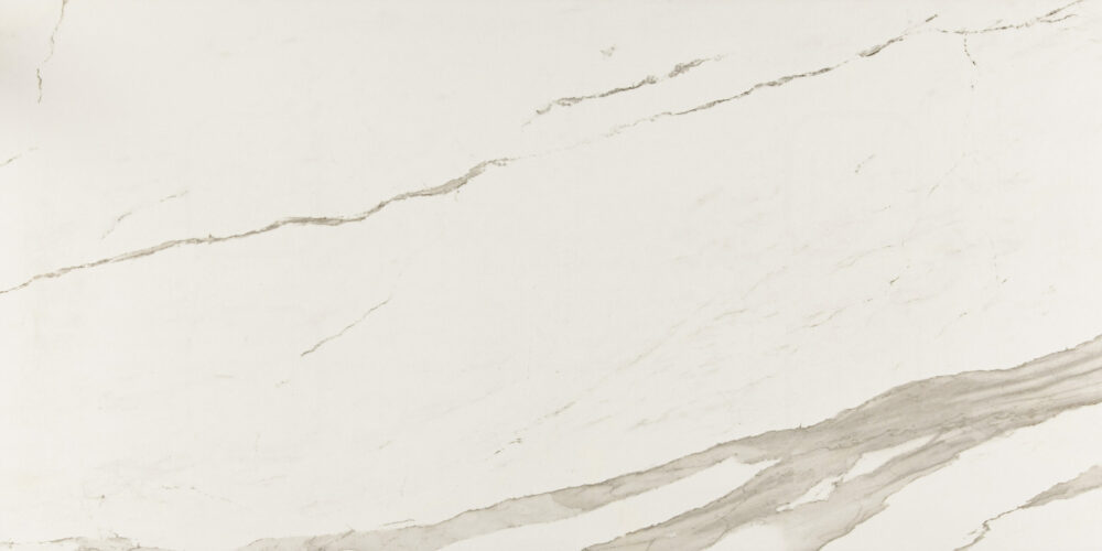 ALBATROS – Image 4