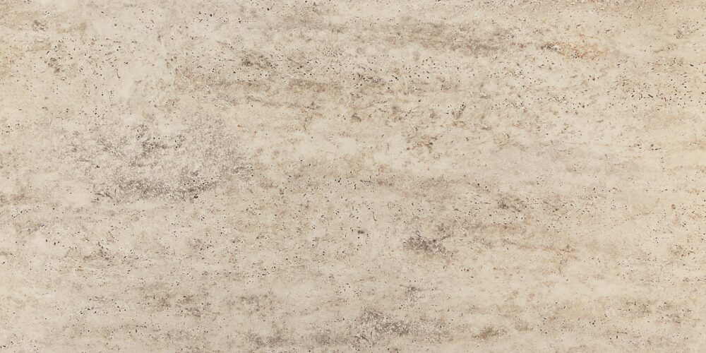 EVANI BONE – Image 2