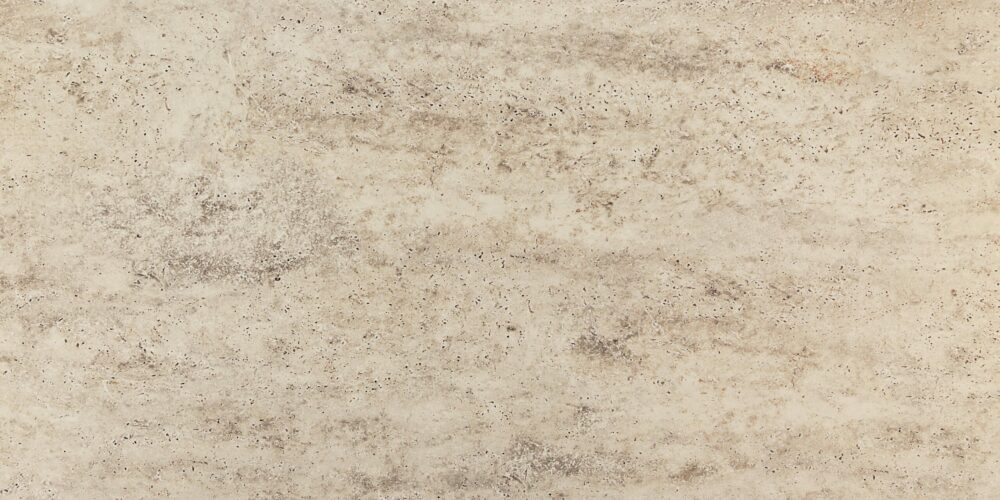EVANI BONE – Image 2