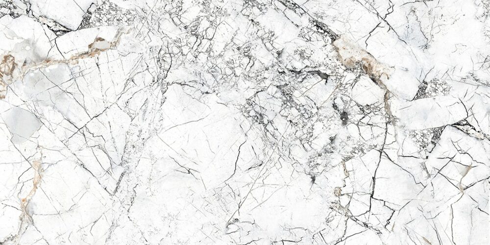 ELEGANT ANKA – Image 2
