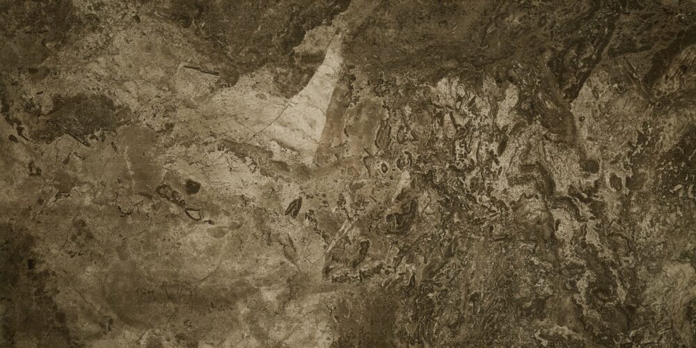 FOSSIL – Image 3
