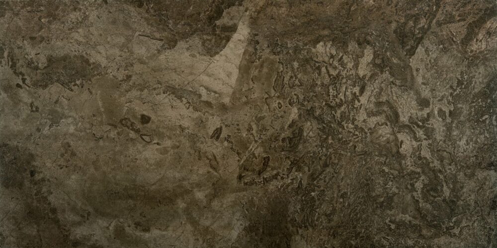 FOSSIL – Image 2