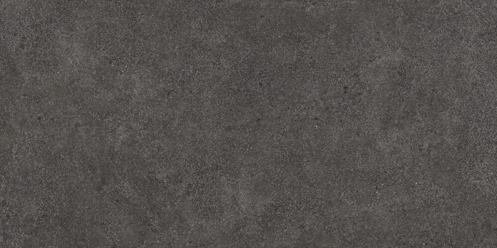 SENA – Image 2