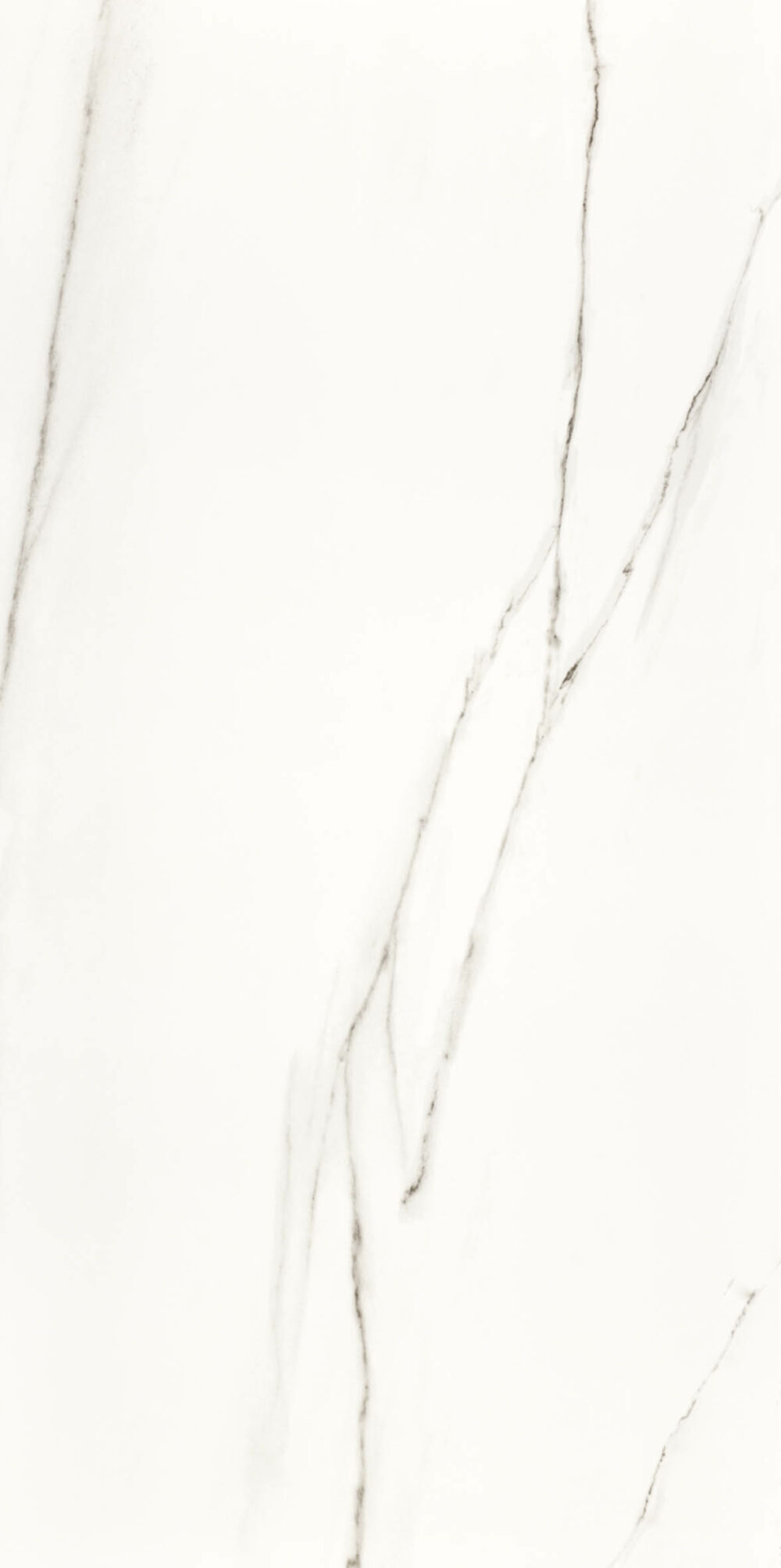 STATUARIO – Image 2
