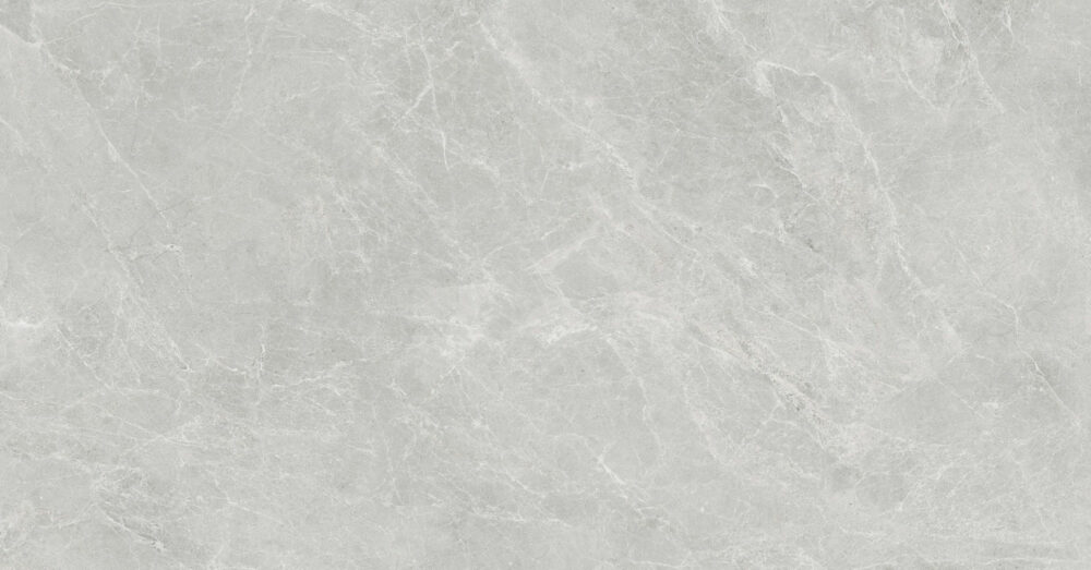 SWAN – Image 4