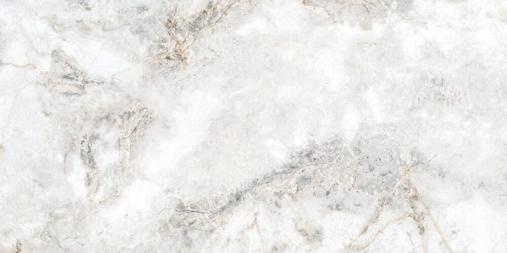 SAVA – Image 2